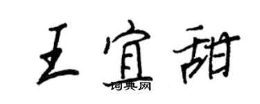 王正良王宜甜行書個性簽名怎么寫