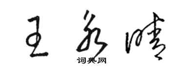 駱恆光王永晴草書個性簽名怎么寫