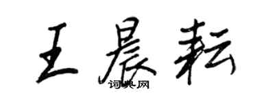 王正良王晨耘行書個性簽名怎么寫