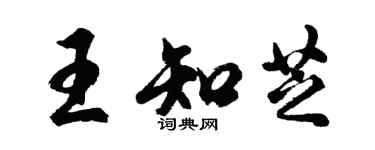 胡問遂王知芝行書個性簽名怎么寫
