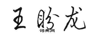 駱恆光王盼龍行書個性簽名怎么寫