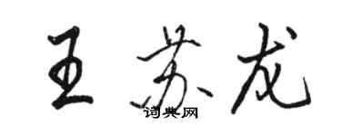 駱恆光王蘇龍行書個性簽名怎么寫