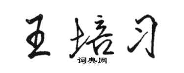 駱恆光王培習行書個性簽名怎么寫