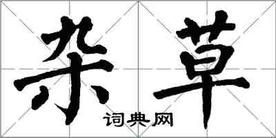 翁闓運雜草楷書怎么寫