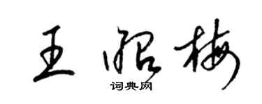 梁錦英王昭梅草書個性簽名怎么寫