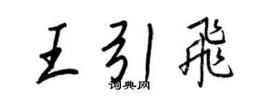 王正良王引飛行書個性簽名怎么寫