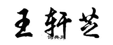 胡問遂王軒芝行書個性簽名怎么寫