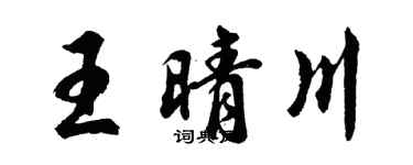 胡問遂王晴川行書個性簽名怎么寫
