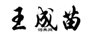 胡問遂王成苗行書個性簽名怎么寫