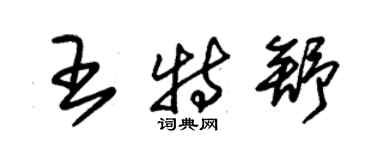 朱錫榮王特舒草書個性簽名怎么寫