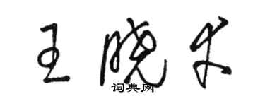 駱恆光王曉幸草書個性簽名怎么寫