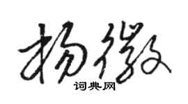 駱恆光楊徽草書個性簽名怎么寫