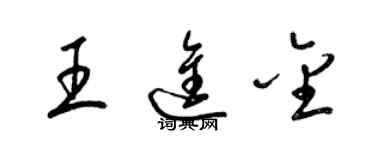 梁錦英王進金草書個性簽名怎么寫