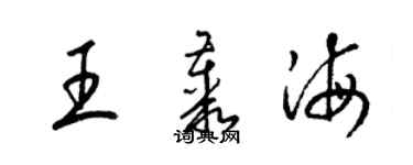 梁錦英王叢海草書個性簽名怎么寫