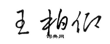 駱恆光王柏仰草書個性簽名怎么寫