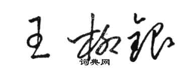 駱恆光王柳銀草書個性簽名怎么寫
