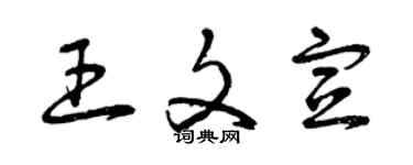 曾慶福王文宣草書個性簽名怎么寫