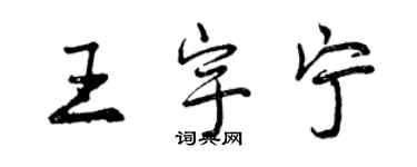 曾慶福王宇寧行書個性簽名怎么寫