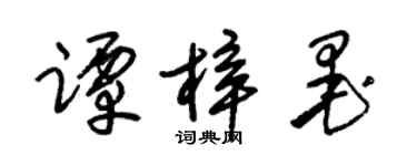 朱錫榮譚梓墨草書個性簽名怎么寫