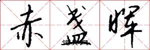 赤盞暉怎么寫好看