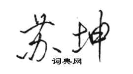 駱恆光蘇坤行書個性簽名怎么寫