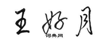 駱恆光王好月行書個性簽名怎么寫