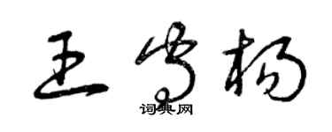 曾慶福王守楊草書個性簽名怎么寫