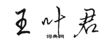 駱恆光王葉君行書個性簽名怎么寫