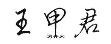 駱恆光王甲君行書個性簽名怎么寫