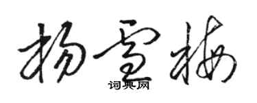 駱恆光楊雪梅草書個性簽名怎么寫