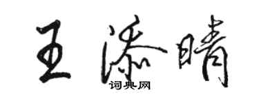 駱恆光王添晴行書個性簽名怎么寫