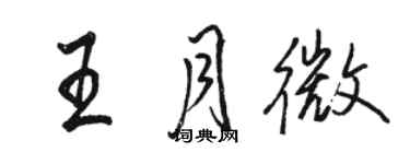 駱恆光王月微行書個性簽名怎么寫