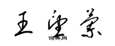 梁錦英王望蘭草書個性簽名怎么寫