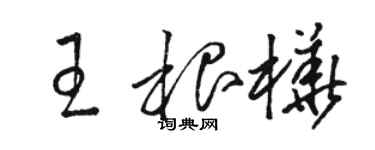 駱恆光王根樺草書個性簽名怎么寫