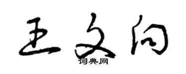 曾慶福王文向草書個性簽名怎么寫