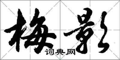 胡問遂梅影行書怎么寫