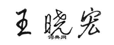 駱恆光王曉宏行書個性簽名怎么寫