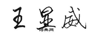 駱恆光王顯威行書個性簽名怎么寫