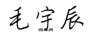 王正良毛宇辰行書個性簽名怎么寫