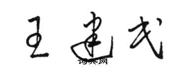 駱恆光王建民草書個性簽名怎么寫