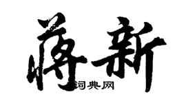 胡問遂蔣新行書個性簽名怎么寫