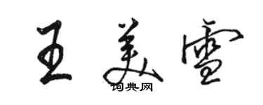 駱恆光王美雪行書個性簽名怎么寫