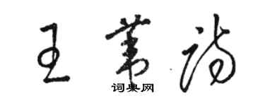 駱恆光王葦詩草書個性簽名怎么寫