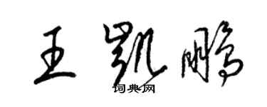 梁錦英王凱鵬草書個性簽名怎么寫