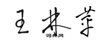 駱恆光王林苹草書個性簽名怎么寫