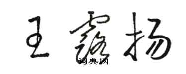 駱恆光王露揚草書個性簽名怎么寫