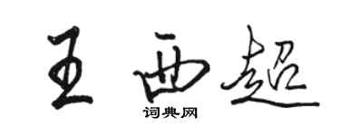 駱恆光王西超行書個性簽名怎么寫