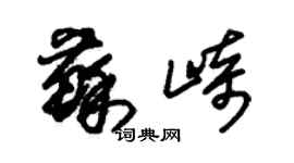 朱錫榮蘇崎草書個性簽名怎么寫