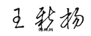 駱恆光王新楊草書個性簽名怎么寫