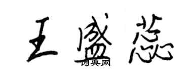 王正良王盛蕊行書個性簽名怎么寫